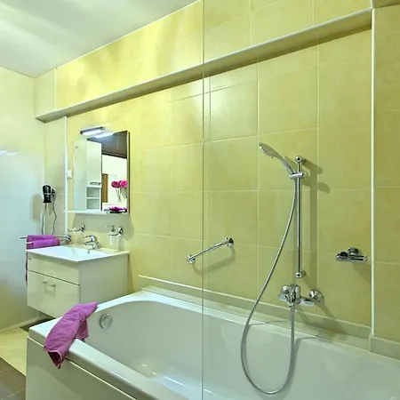 Crystal Apartman 아파트 포레치